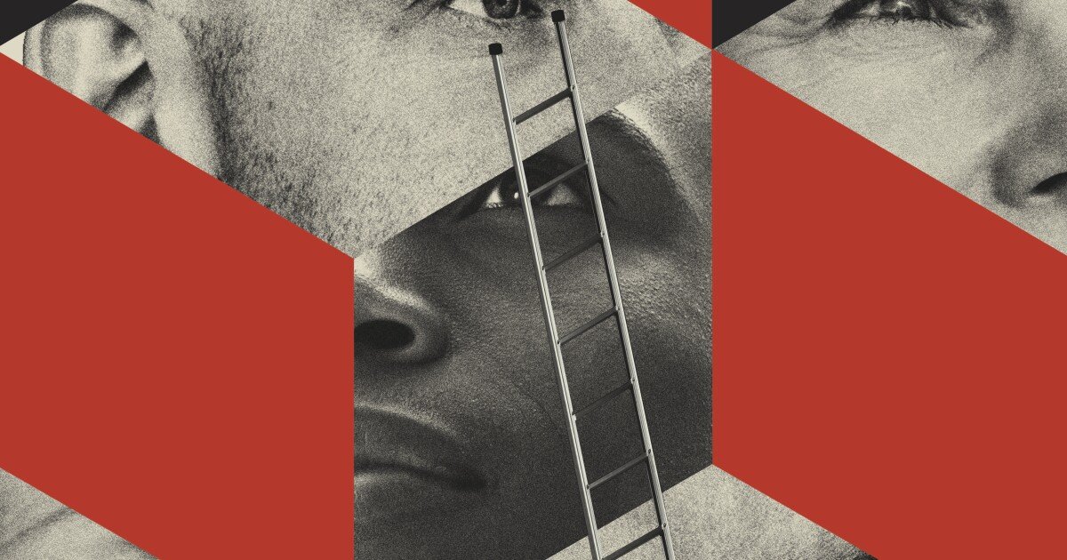 The Assault on DEI  - cover