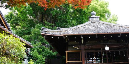 8 Must-Stop Places on a Trip Around Japan