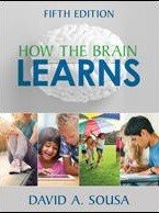 Author Interview: 'How the Brain Learns' (Opinion)