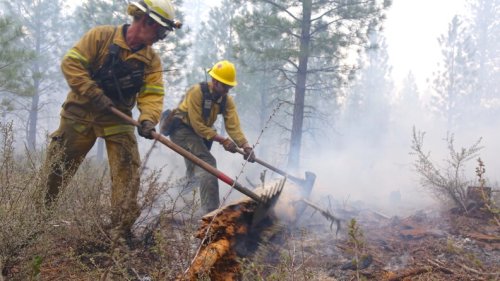 A bill that's been introduced to Congress advocates for federal firefighters and hits close to Cody
