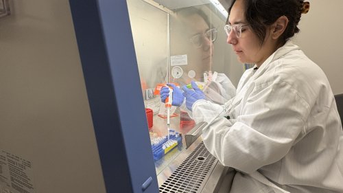 As a diversity grant dies, young scientists fear it will haunt their careers