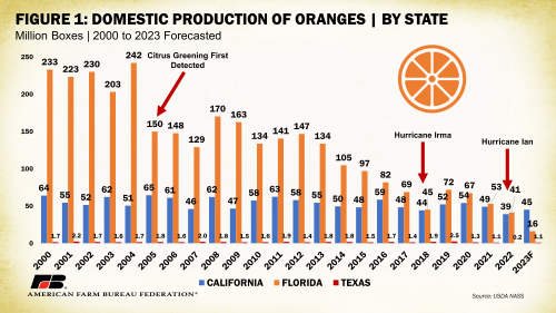 The squeeze drought: Fresh OJ is disappearing in Florida