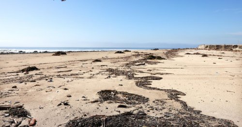 Months after the fires, how safe is it to swim at L.A.'s beaches?