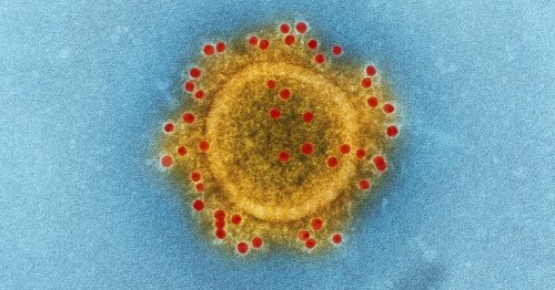 Texas Has A New Coronavirus Variant: Here’s What We Know