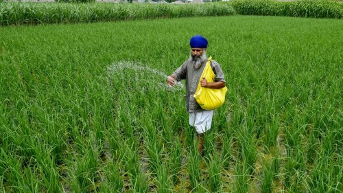 How the Iran war threatens global food supply