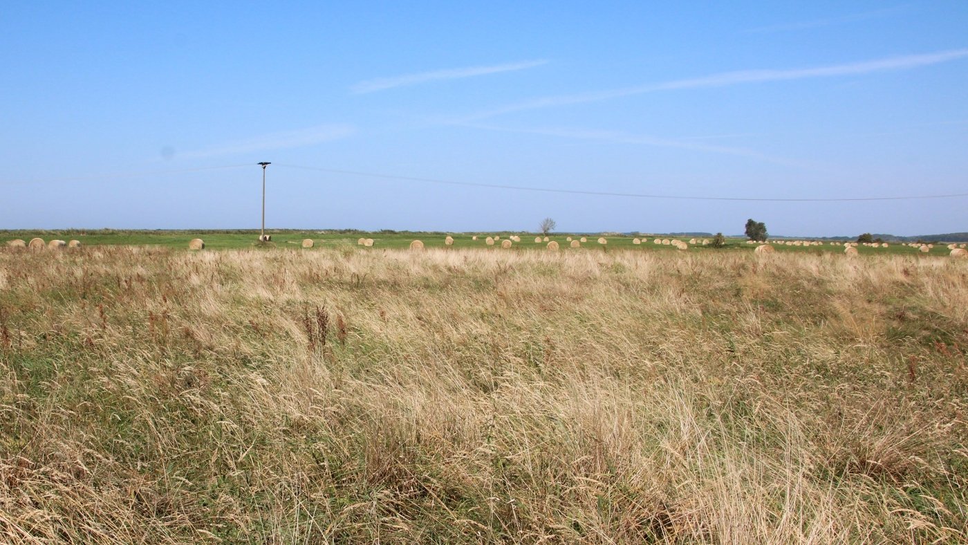 This soil is slowly burning, releasing CO2. The solution? Let water reclaim it