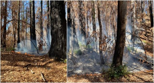 Crews to mop up 11.75-acre Sandy Fire in CZU Lightning Complex burn scar Tuesday