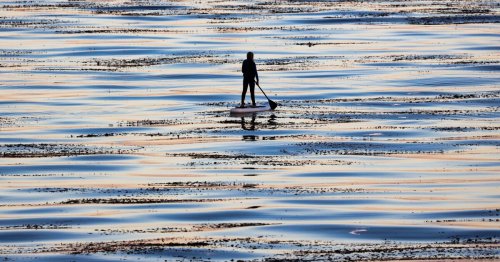 Staycation Santa Cruz: Your guide to living the tourist life with none of the hassle and limited expense