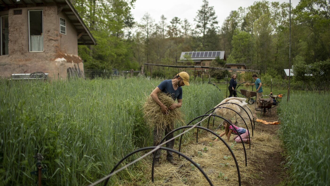 NPR: CLIMATE SOLUTIONS WEEK cover image