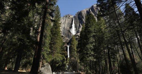 Letters to the Editor: A Yosemite with no people and only animals is a sight to behold