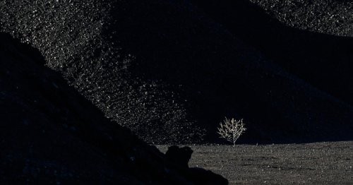 Trump vows to immediately ramp up U.S. production of ‘beautiful, clean coal’