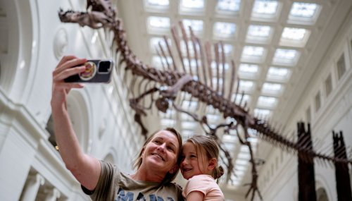 Huge ‘river monster’ dinosaur unveiled at Field Museum
