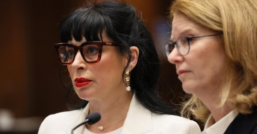 Author and wife of Weezer bassist pleads not guilty to charges from LAPD shooting