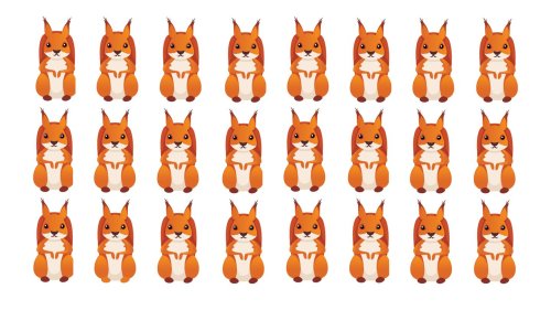 Tier-Suchbild: Welches Eichhörnchen ist hier anders als der Rest?