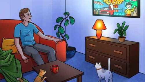 Nur 5% finden den Fehler im Wohnzimmer in 10 Sekunden