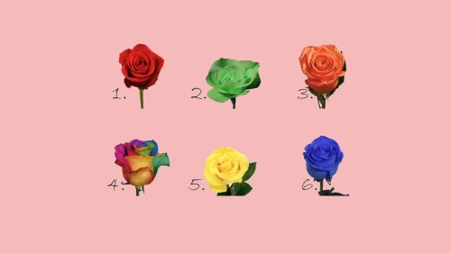 Persönlichkeitstest: Welche Rose du hier auswählst, offenbart dein wunderschönes Geheimnis