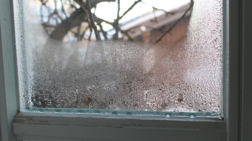 Beschlagene Fenster? Diese 5 Tipps helfen gegen Kondenswasser