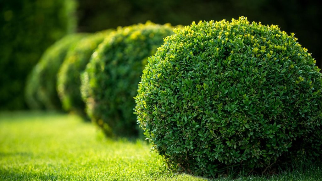 Garten - cover