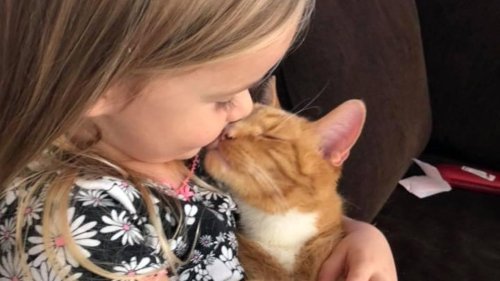Mädchen singt Abschiedslied für sterbende Katze