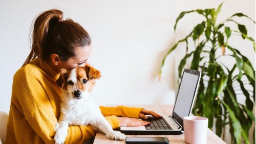 Warum Introvertierte im Homeoffice aufblühen