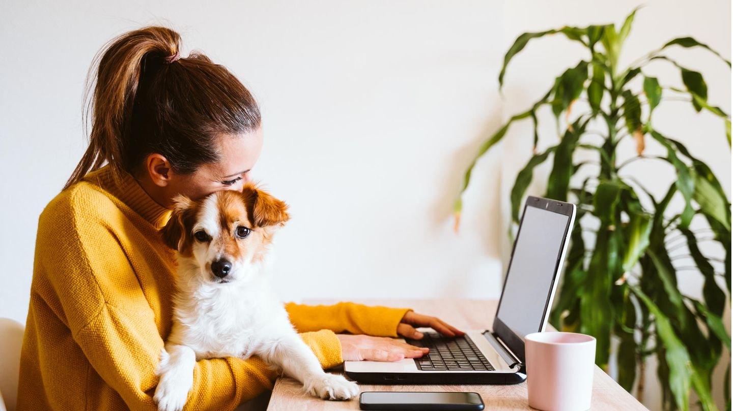 Warum Introvertierte im Homeoffice aufblühen