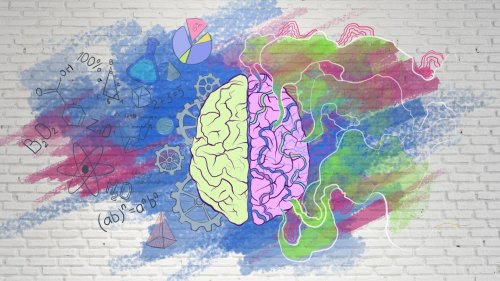 Psychologie-Test: Links oder rechts? Welcher Teil deines Gehirns bestimmt deine Wahrnehmung?