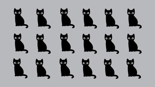 Felines Suchbild: Welcher der Katzen ist hier ein wenig anders als die anderen?