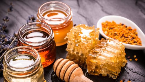 Natürliche Antibiotika: Heilbooster aus der Natur