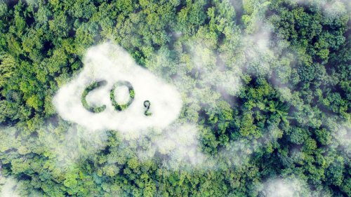 Warum Flugverzicht und Ökostrom den CO2-Ausstoß nicht reduzieren – und was wirklich hilft