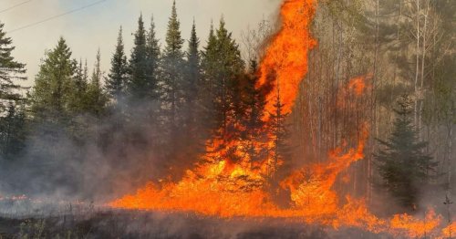 Evacuation order lifted for 1 of 3 wildfires in northern Minnesota
