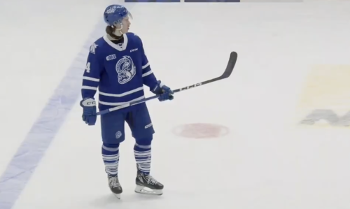 Minnesota Wild sign bruising 20-year-old defenseman Stevie Leskovar