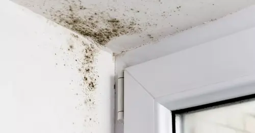 Government pledge to 'stop the rot' in military housing