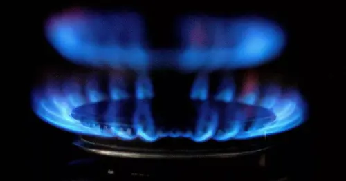 Octopus, EDF, British Gas and Eon to pay customers £30 if they break new rule