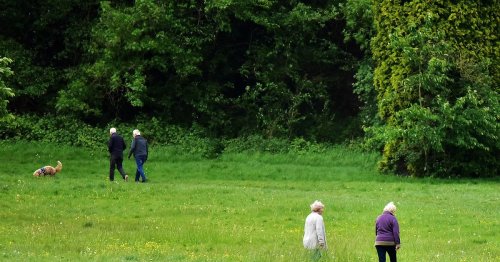 Bristol's best park as North Bristol estate takes top place | Bristol Live