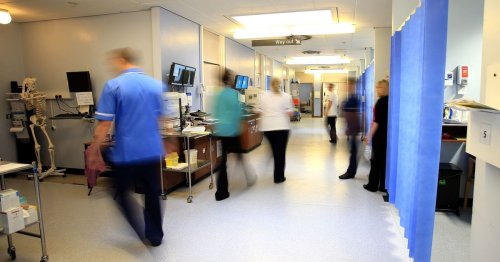 NHS spends more than £113m on translation services including 'fake' cartoon language