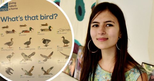 Bird charity to change posters following claims they're 'sexist'