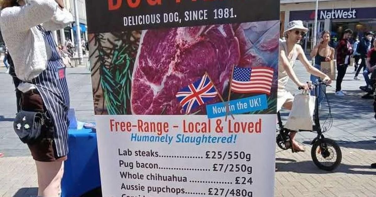 Shocking 'dog meat' stall stops Bristol shopper in their tracks | Bristol Live