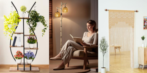 Embrace the ‘Biophilic’ Home Decor Trend That’s Taking TikTok by Storm