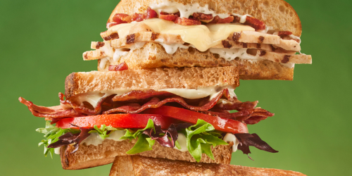 Forget The Panera Menu You Thought You Knew – It Just Got Upgraded With These New Items