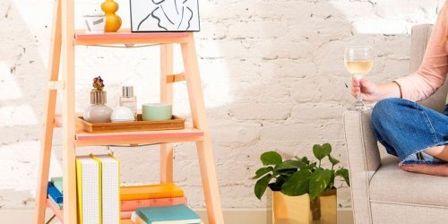 This DIY Ladder Shelf Was Made for Forgotten Corners