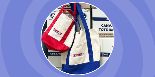 Costco Is Selling $6 Totes That Look Just Like Trader Joe's Viral Mini Tote Bags