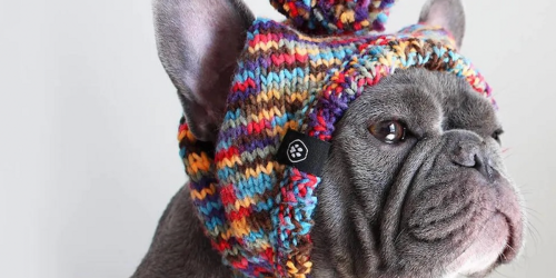 These Dog Winter Clothes Are The Cutest Things We've Seen All Year