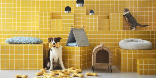 IKEA's Pet Collection Is The Perfect Excuse To Spoil Your Fur Baby