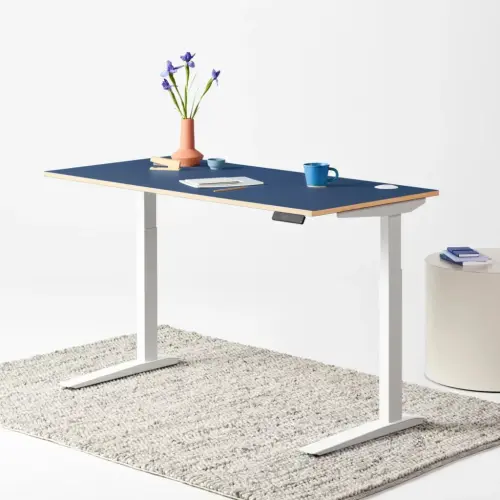 Fully Standing Desks Make for a More Ergonomic Workspace