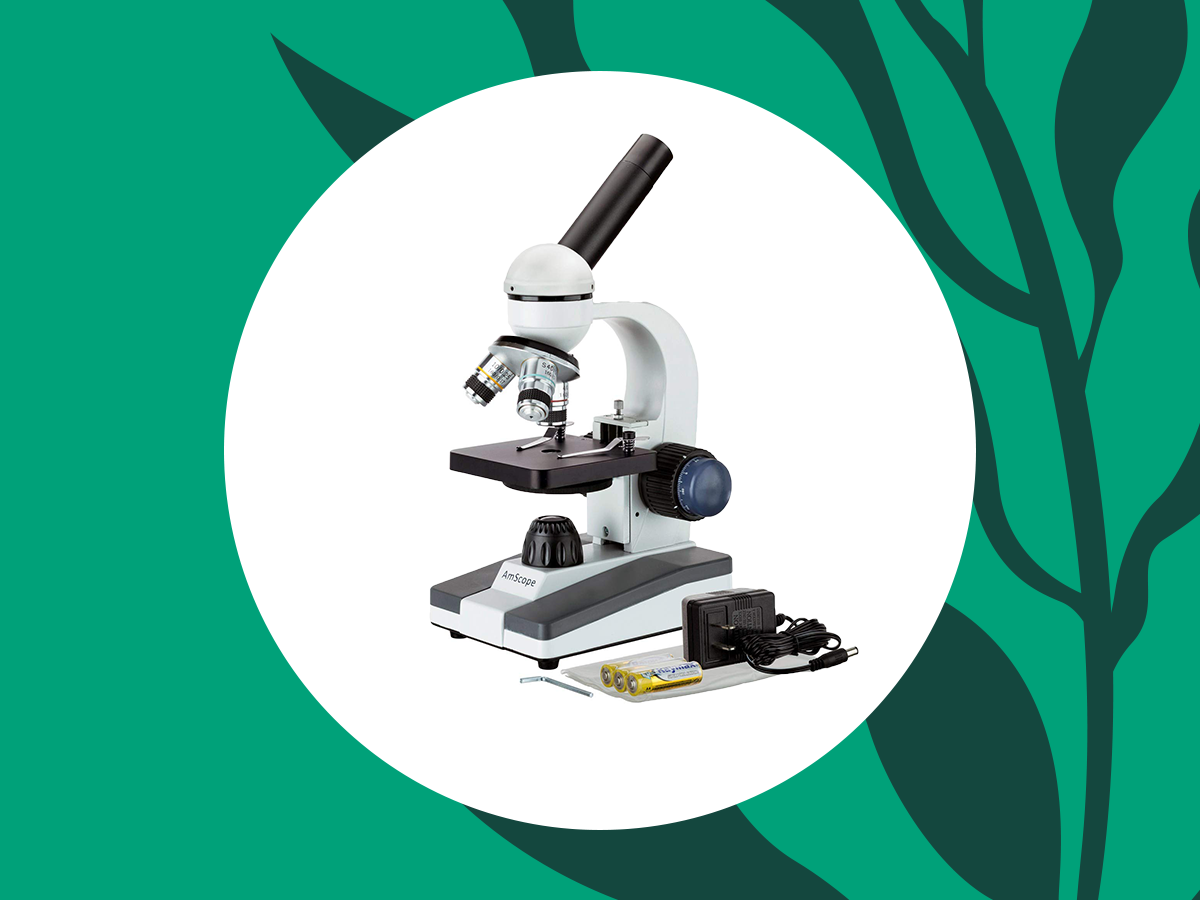 Best Microscope For Kids (And Why You Need One)