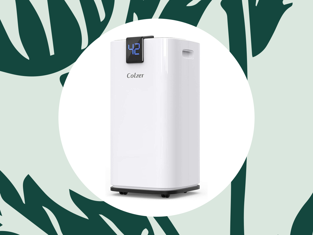 Dehumidifiers for Under $300