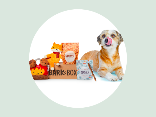 Our Honest BarkBox Subscription Review — Is It Worth It?
