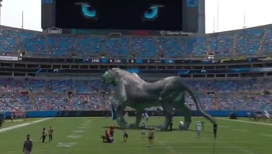 Mixed reality puts the purrr-fect twist on Carolina Panthers games