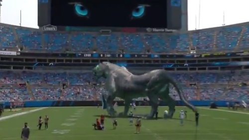 The Carolina Panthers Released A 'Mixed Reality' Panther Video Before Game  Against Jets And It Was Incredible - BroBible