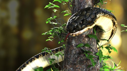 15+ Foot King Cobra Invaded An Indian School And Put Up A Fight Before Being Removed (Video)